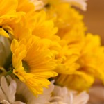 Cristina_James_Wed_0005