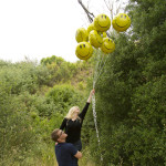 Alisa Colin Couples Photos