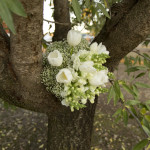 K+C Wedding Farmington FayeChamplinStudio