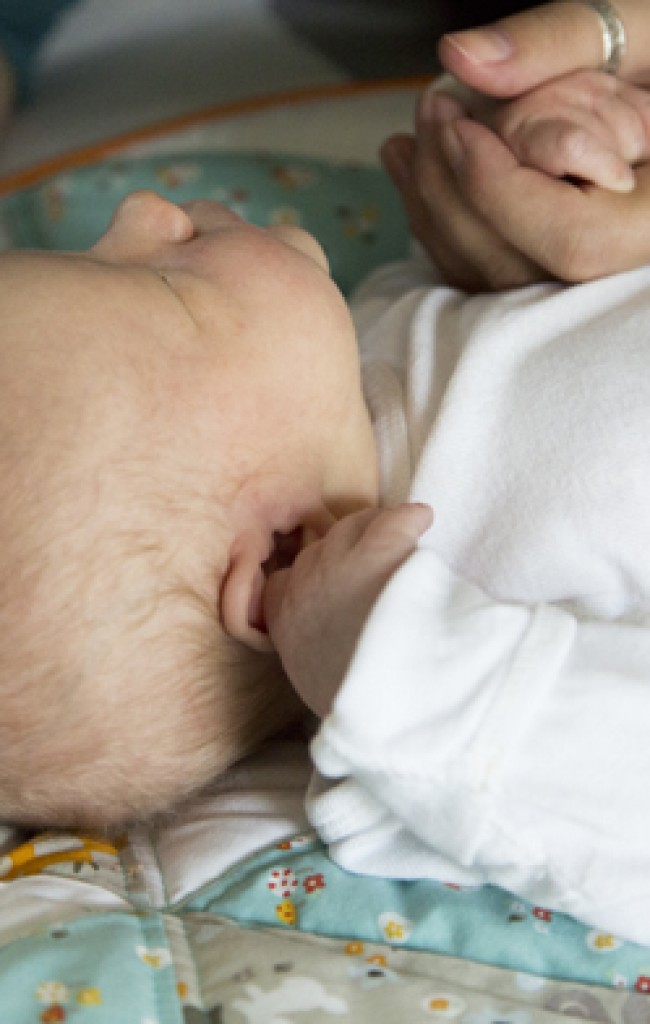 Pleasanton Family Photographer