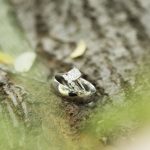 Hayward Wedding Photographer